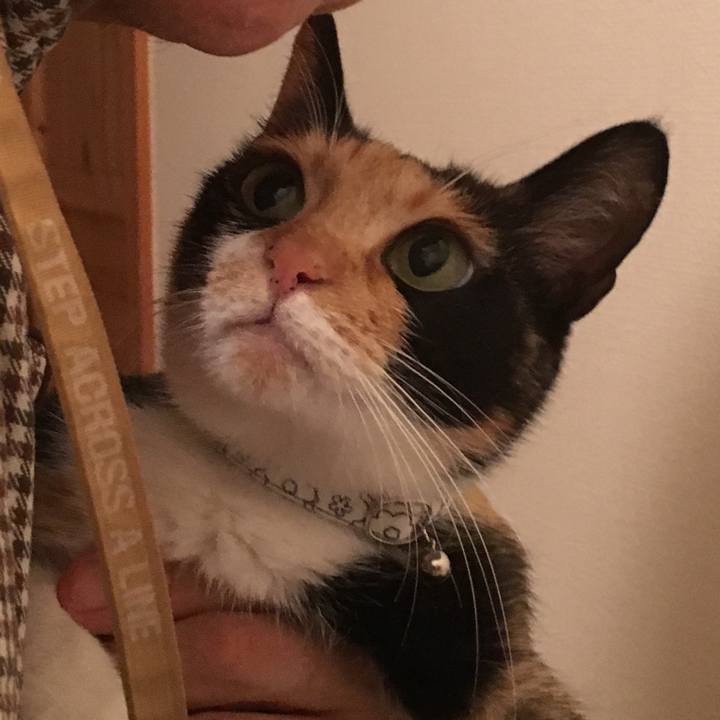 77258bec be10 4c80 adaa 987eb945a0dc