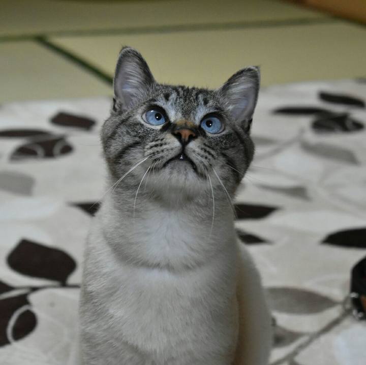 77262277 8c3c 4b33 959b e790df0bf9b9