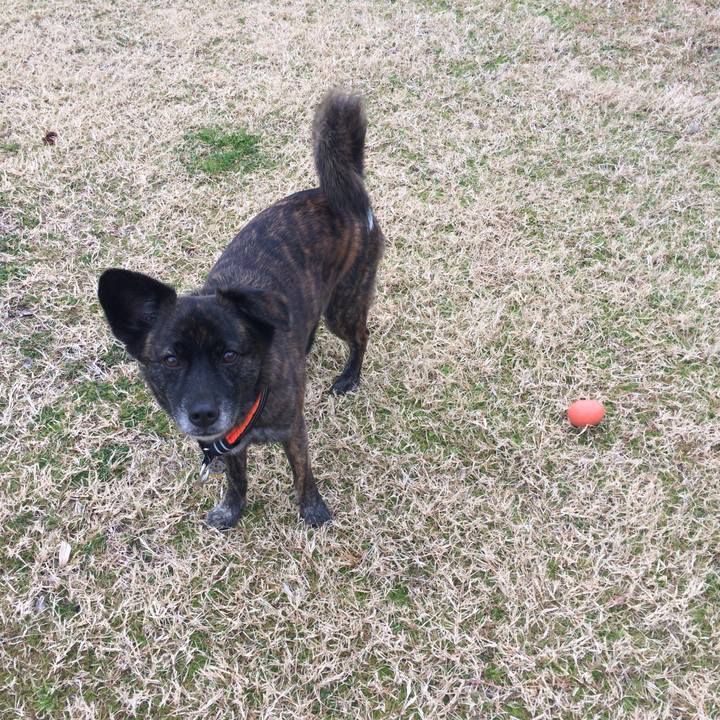 77263136 e4c4 431e 8cff 19f276f1ba94