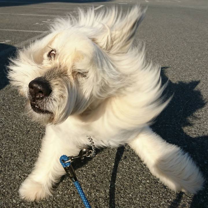 772645df cd6d 4617 9d86 44633551d5a9