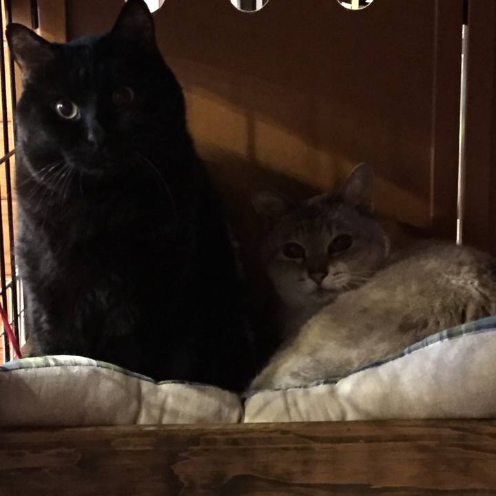 7727b1ae 98d2 4eb4 8c95 6f3c7875ce41