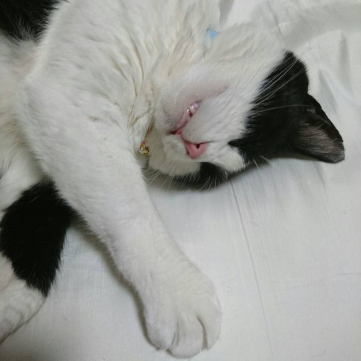 77284da6 30d0 4fc3 a025 284bdd11f791