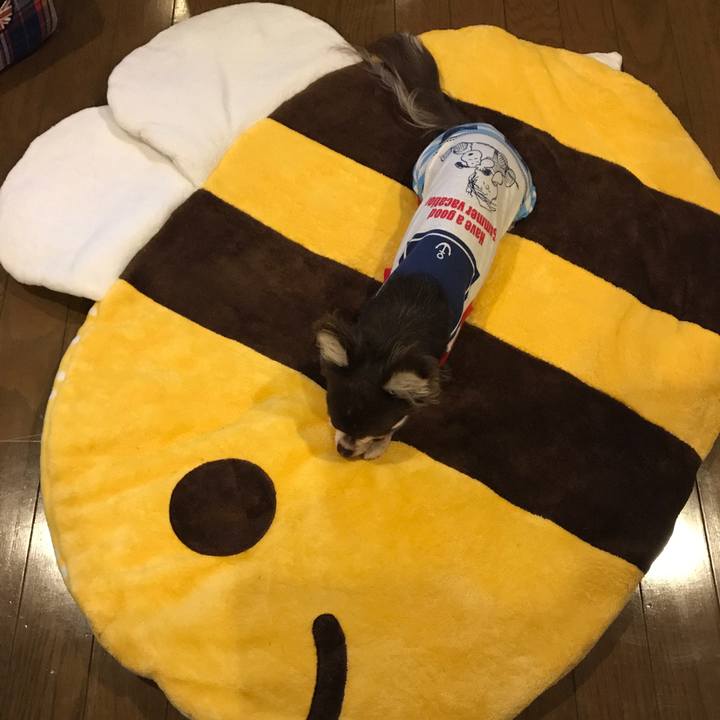 77287ce0 7481 4bfa acf8 ddd6406a9274