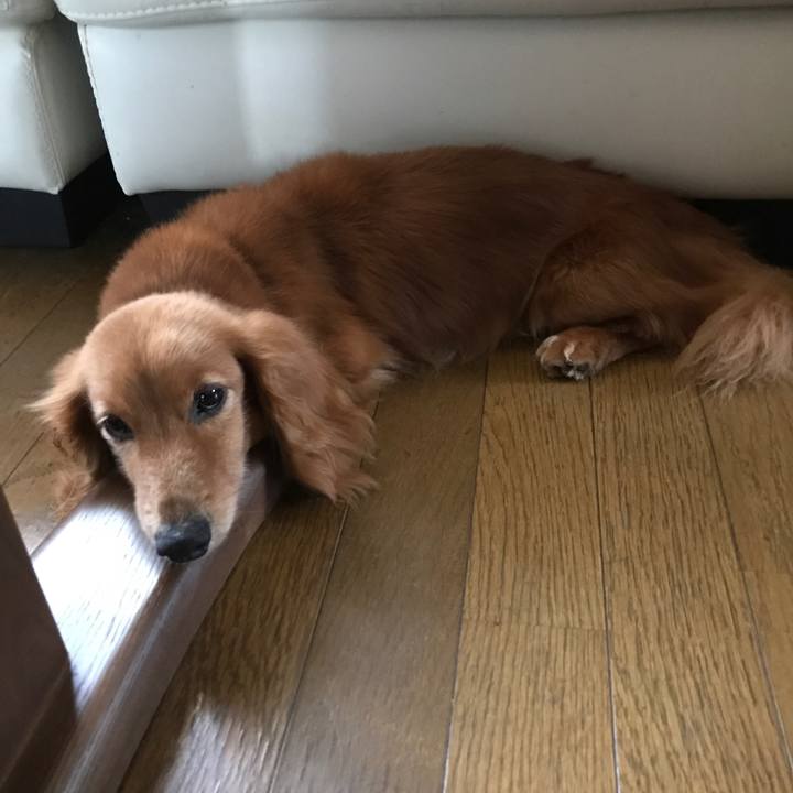 7729428d de17 4fb9 975d 774d0c924ac8