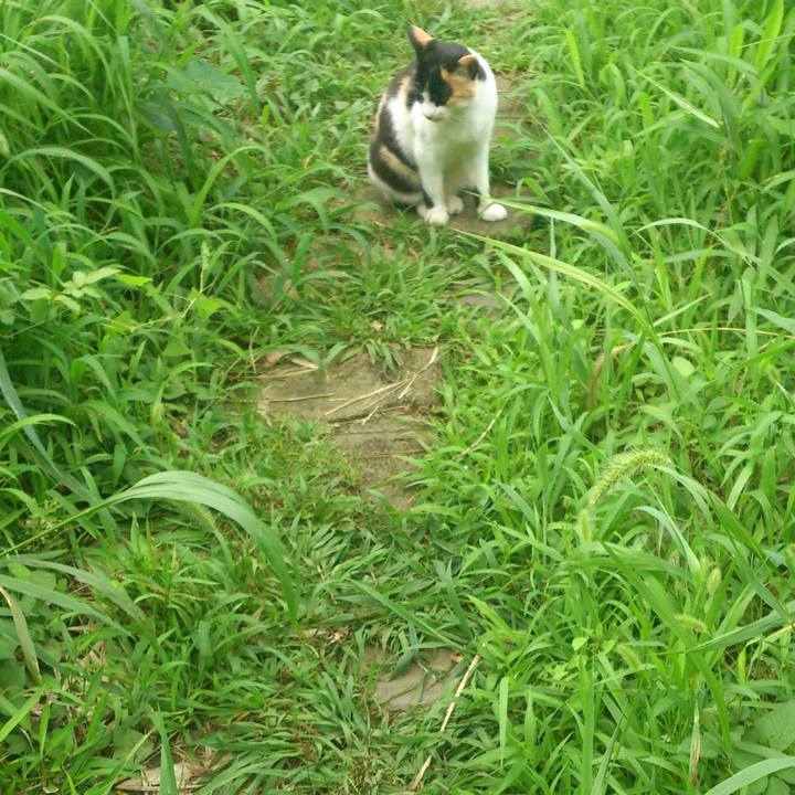 772950a5 bd7e 48df a206 6d37bdd05189