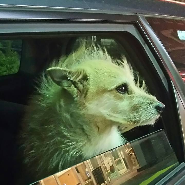 7729c965 26cc 458f bbe1 6708a50be809