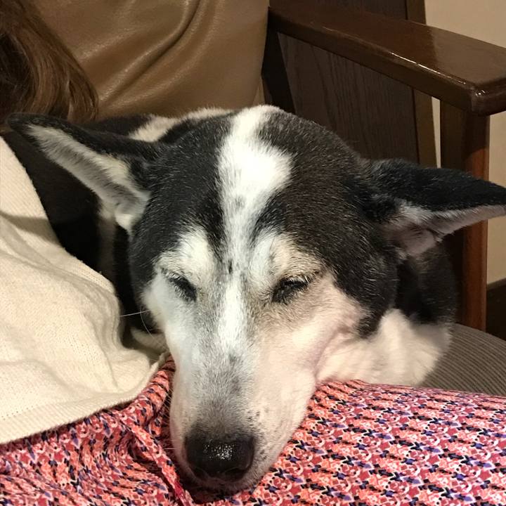 772d2983 3ce1 4581 8886 f6cddb603104