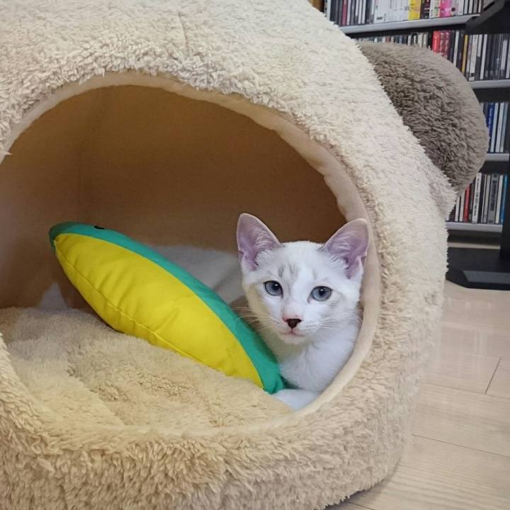 772d2e03 8bb4 4bbd b368 c142ca66d410