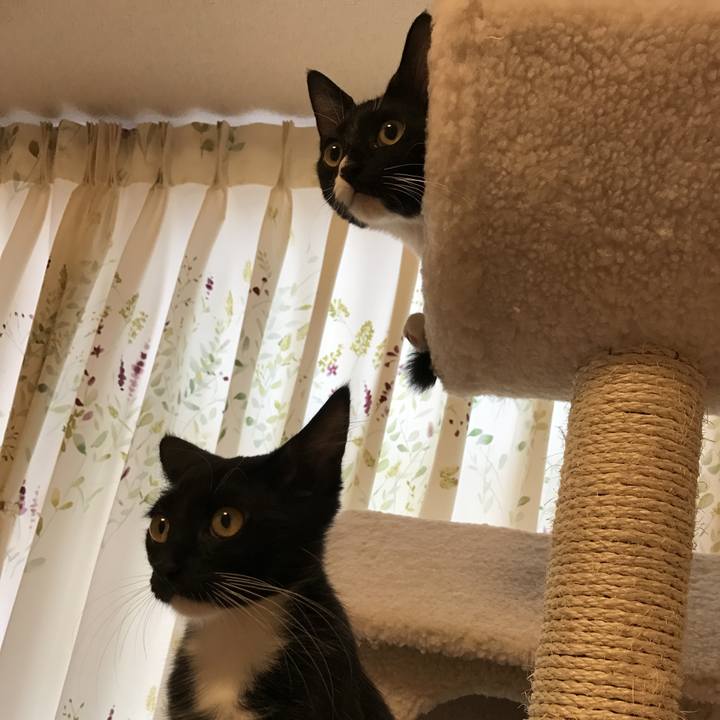 772d3f8a fd86 4bbf abdc cb39d73ef679