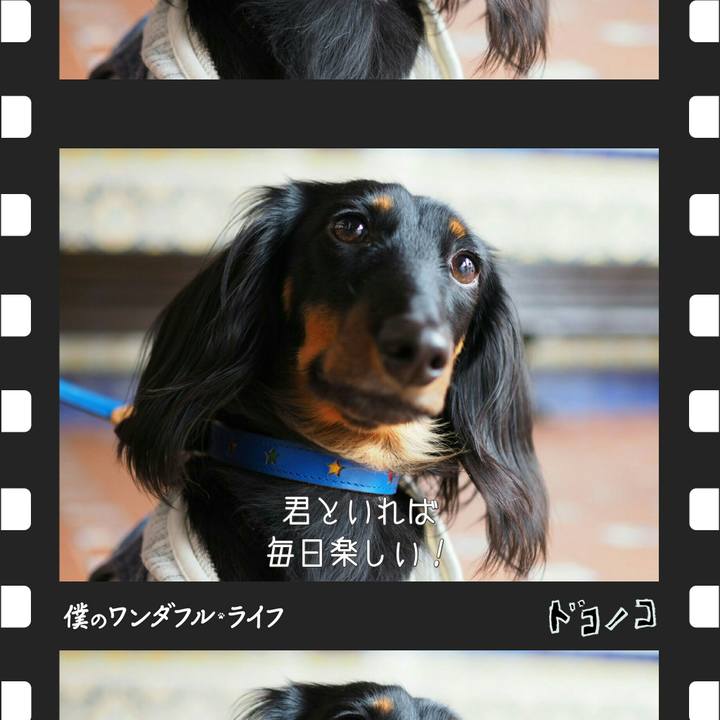 772d77de 0d3f 40be 9c7f 08c97321b932