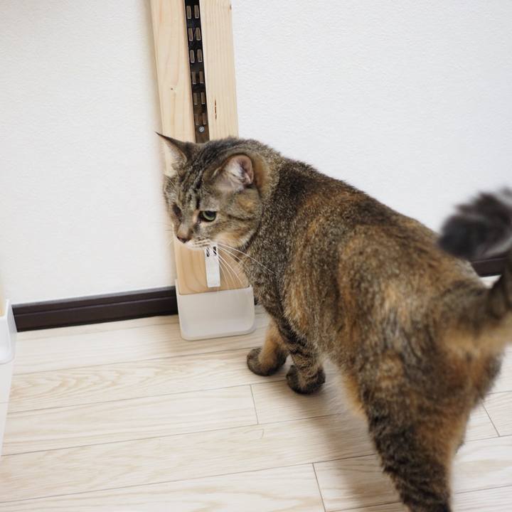 772e6a0f 95a7 43bf a1c4 0a2b915b8762