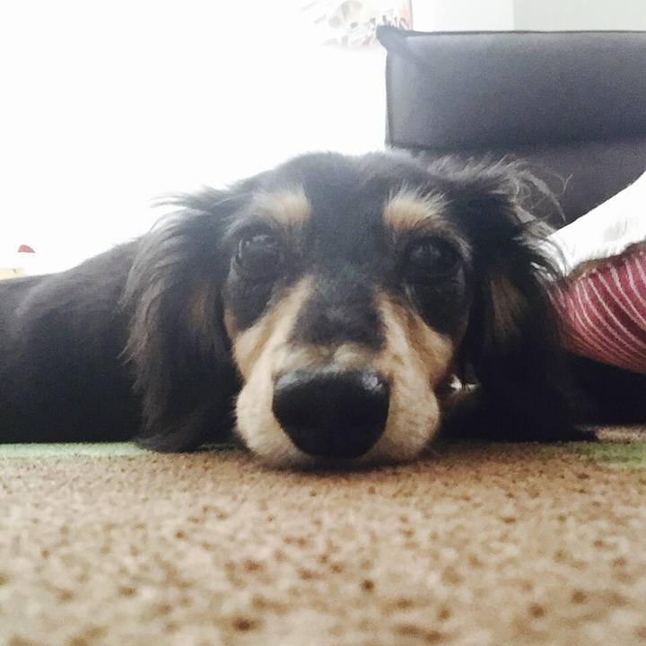 772ed016 f2b8 4af6 9f29 9798d604094d