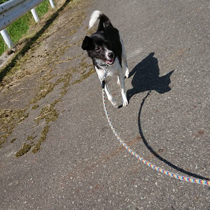 772eebb2 523b 4772 b236 a0d36d824975