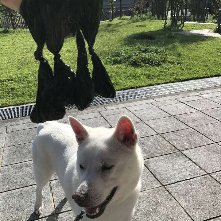 772f4b3d 94ee 4756 a417 8be24ce02425