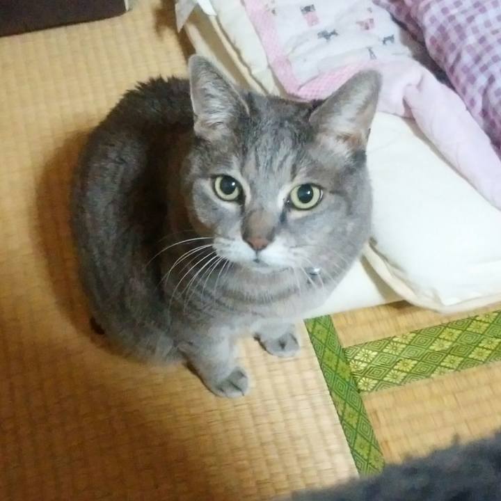 772f574a 3a9b 43f9 a5fc ec7ab2c78047