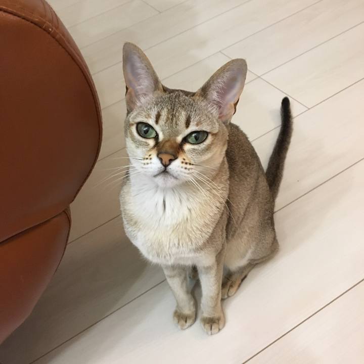 772f5964 f725 4633 af6a d3293e6b4b09