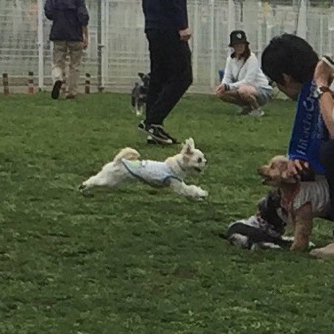 772f686b e314 40db ac9c 1c1acb630eb2