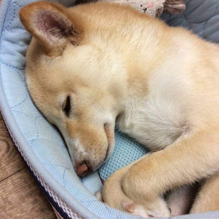 772fd192 78ec 4c4d a142 314d300a7424