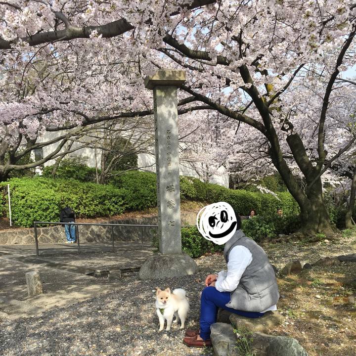 77309254 0f96 47c9 911f 57117498abd1