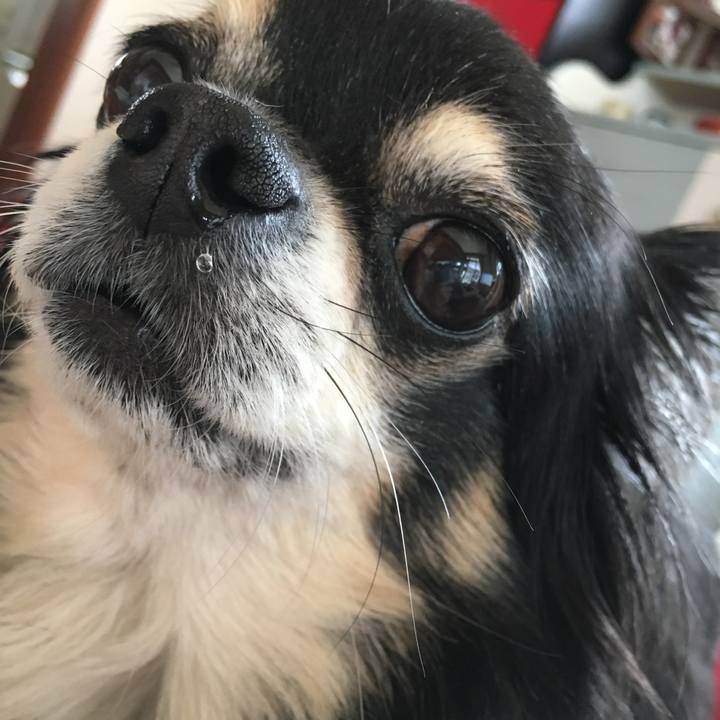 7730de41 8b21 464c a312 4f2f7c185c04