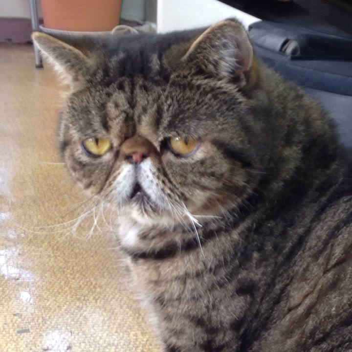 7730e2fe 49e2 4aa1 bcbc bd1530141c40