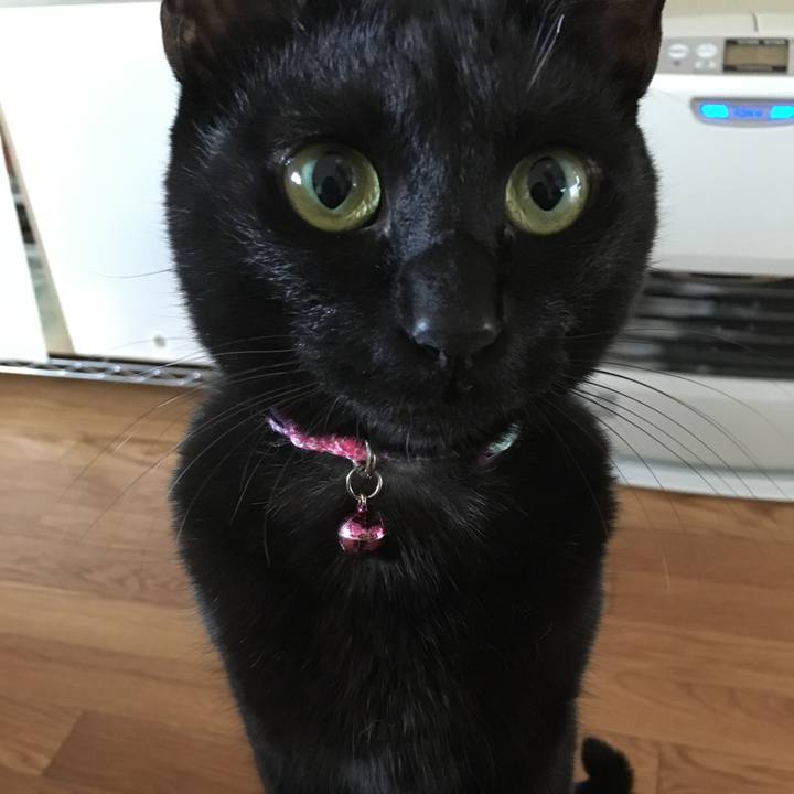 7730f3f7 6ad6 4698 a07a f70b1ba3fa26