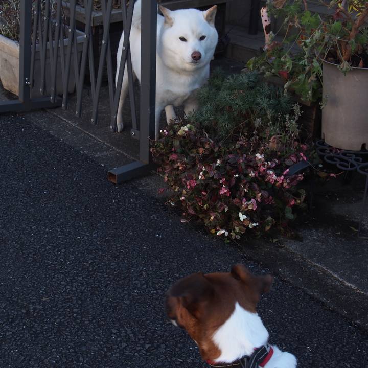 7731456a 23fd 46c5 b311 df7f866f1bca