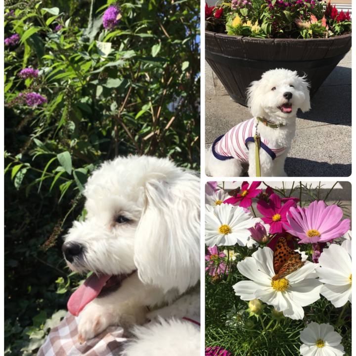 77317e48 caed 4e58 b34d d5c0576403eb