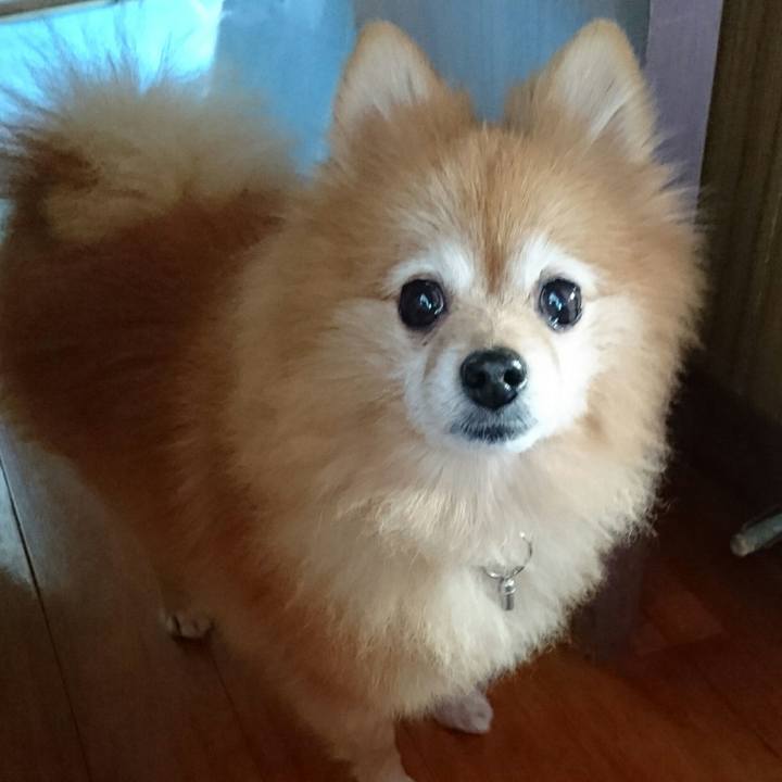 77319240 a50e 4a24 ad3e 4bc7ef3300c5