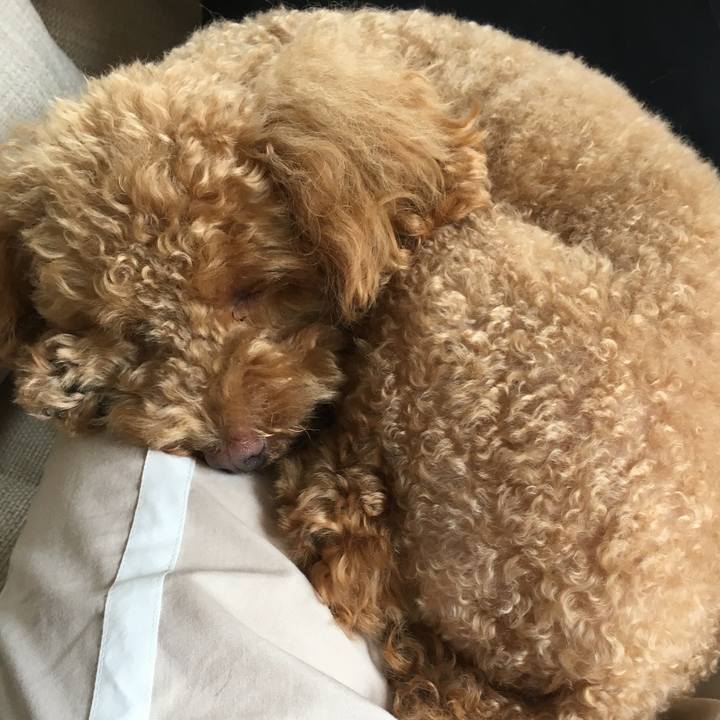 7731ff9c 7972 4675 870f 72a00fd6bbca