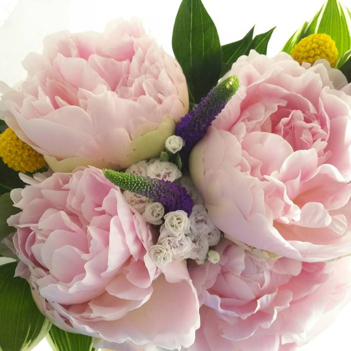 7733d48a 08f1 4bfe 9044 078d57747afc