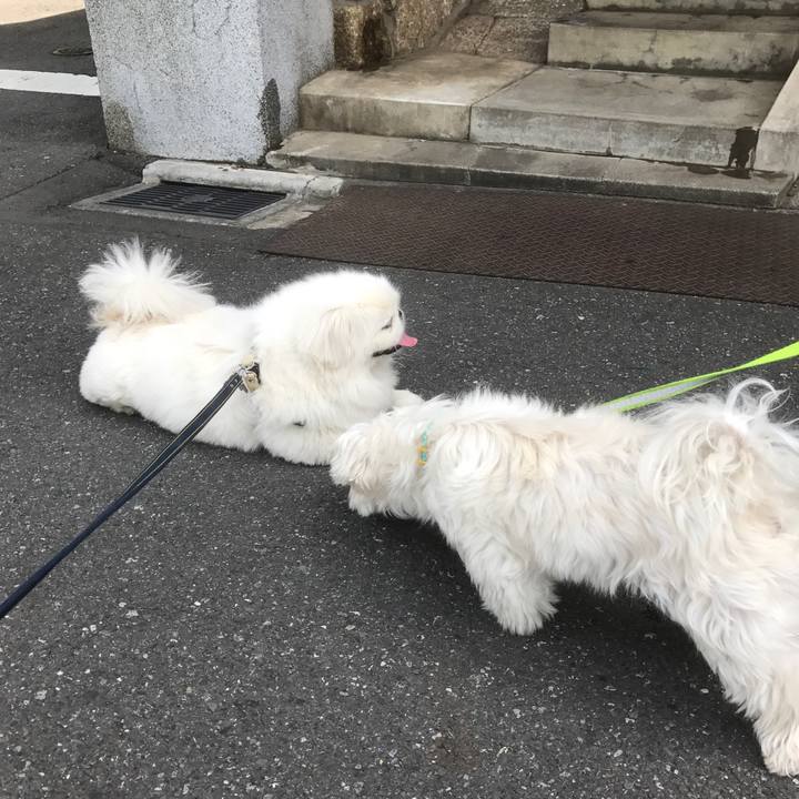 77353afd 0a2a 46ef 8fb0 5c8f74ba91a0