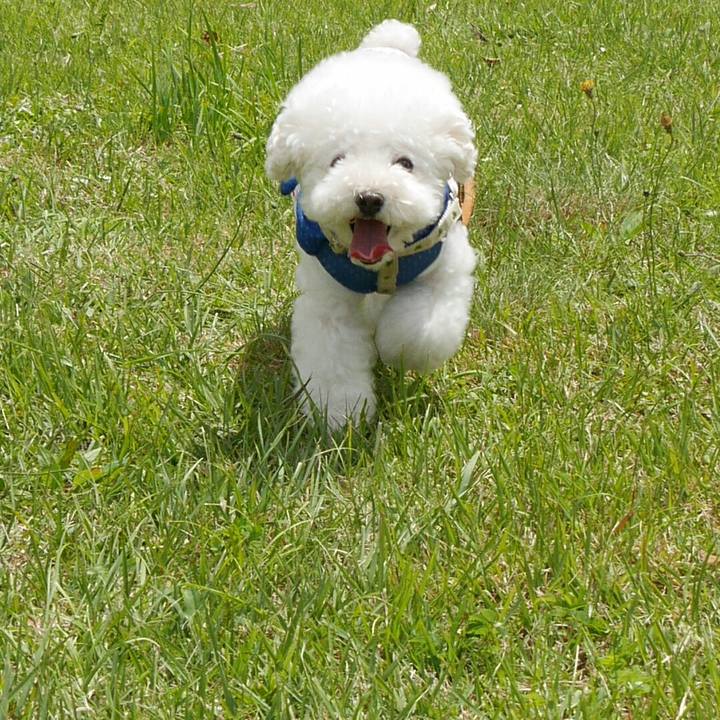 77355609 ce75 4677 8c16 65e1140797a8