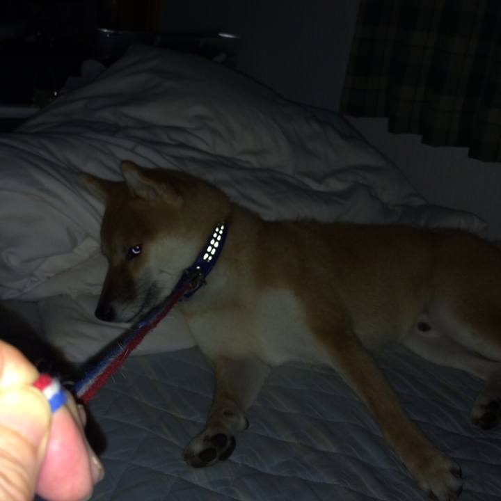 7736aef1 f6dd 49b6 b384 b2199c755877