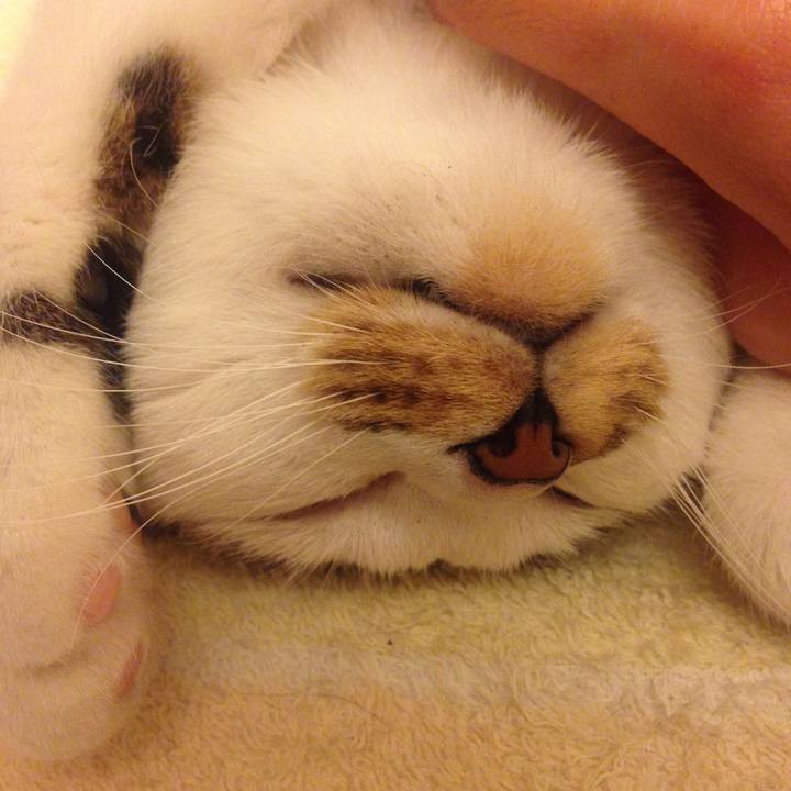 7737034c f3dd 4823 90d8 13fffffed413