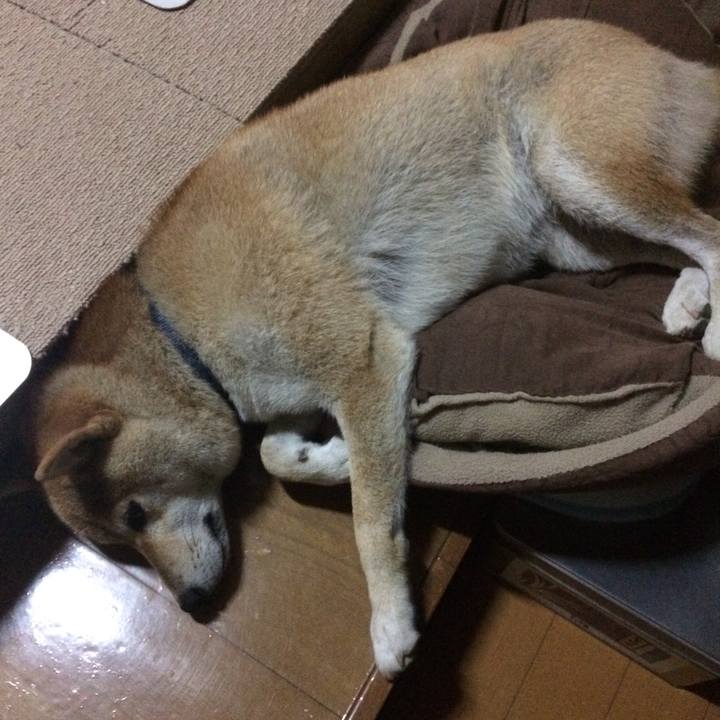 77375936 455d 4c37 baea e11b2a045ee0