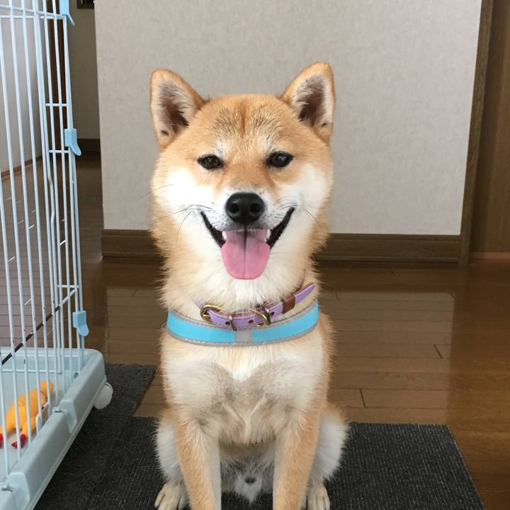 77376193 d690 47d9 920e bbaaef33fdce