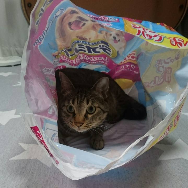 7738725c 1323 4bdc 88a5 37da0cd926c2