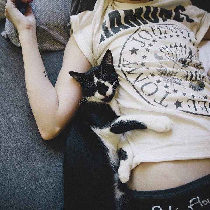 77387b56 c0ed 4d70 8dbb a70e75778712