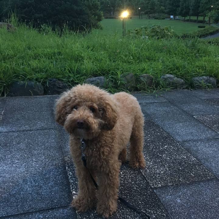 7738934e 7fe0 48dd 8d96 1f7502e964fa