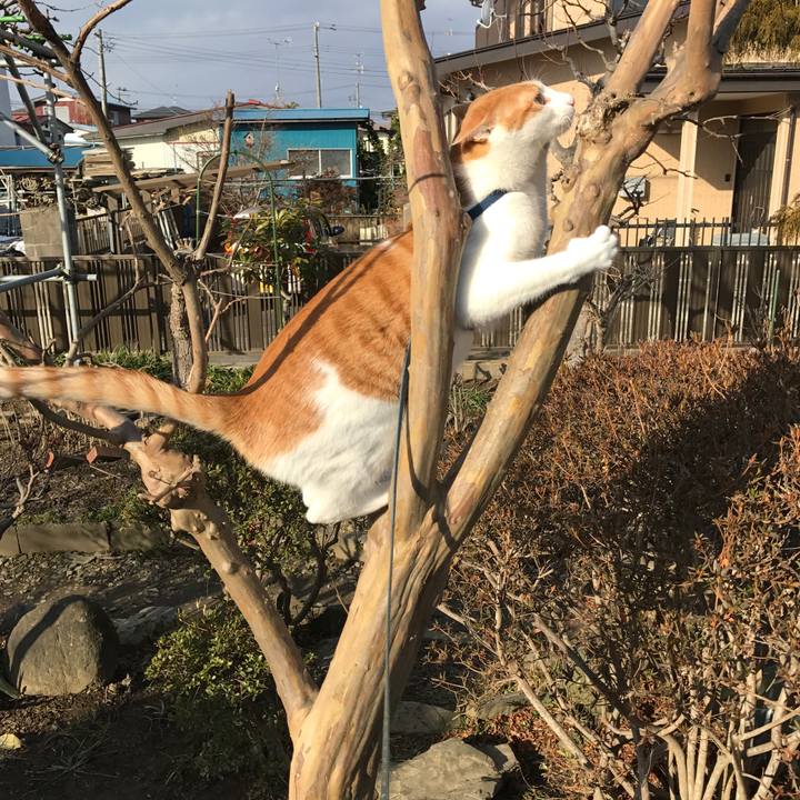 7738a03f 5993 4677 a913 bf96142f33ca