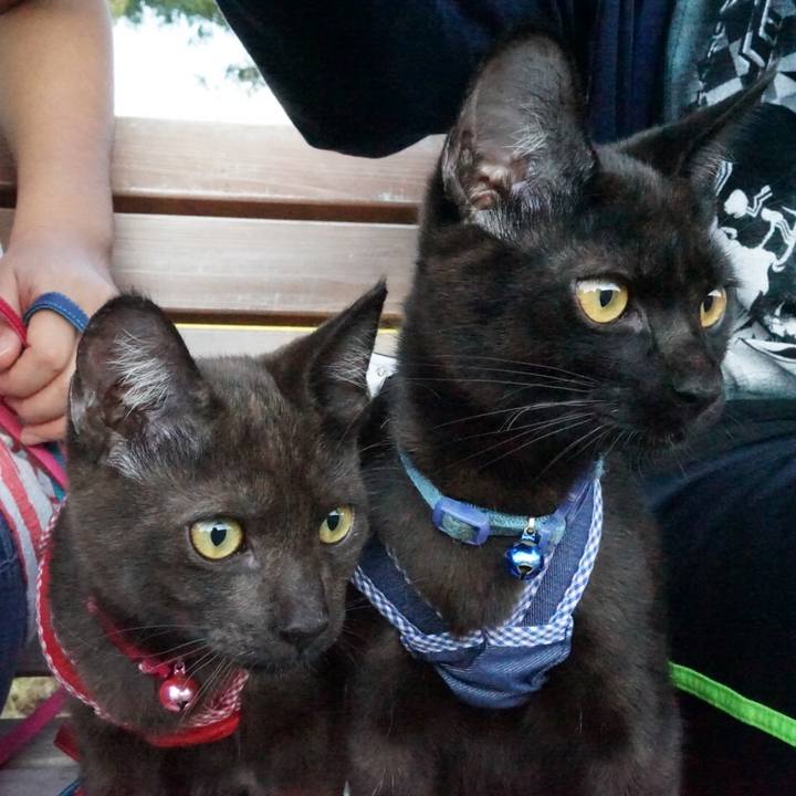 7738ae2b 44f2 4259 9f77 90313eeaae0e