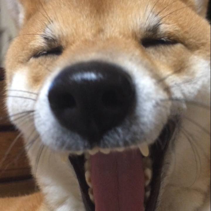 7738cd10 263b 4631 9bcc a42d0851d936