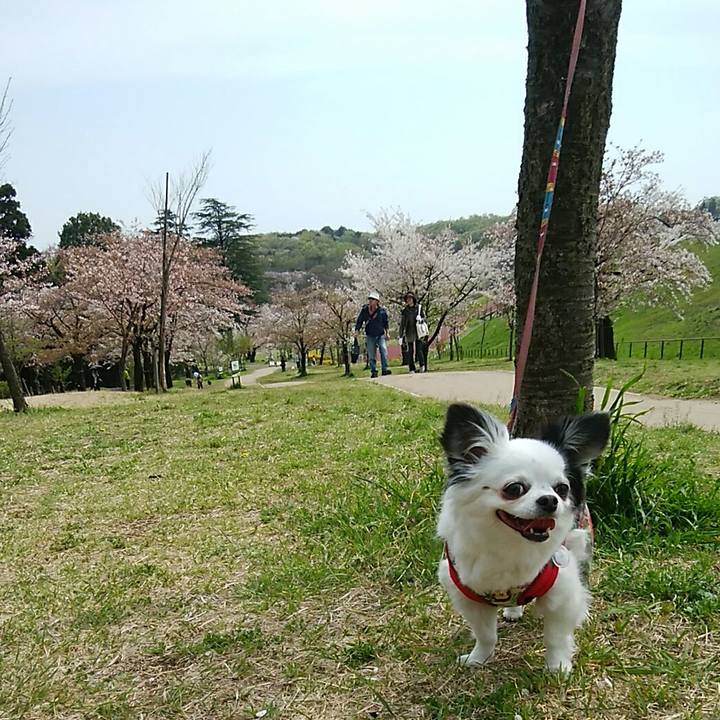 7739018b 32be 4ebb b9db d23671426ef6