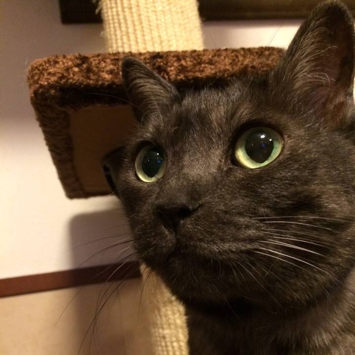 77390299 8b5e 4239 ab54 b49be8e50497