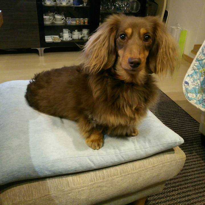 77394737 aad2 454f 86e6 e63ac58bbace