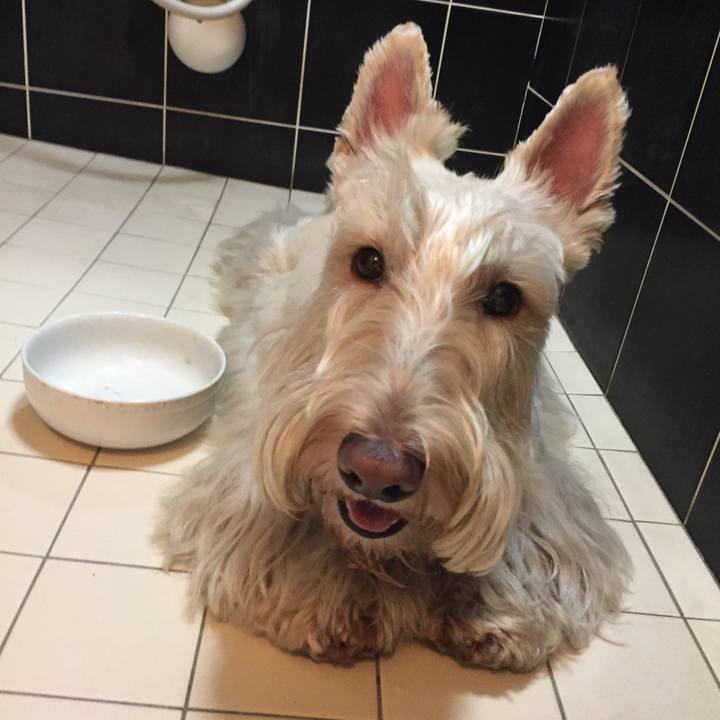 77394ee5 700b 4a76 8849 4eb08e36b699