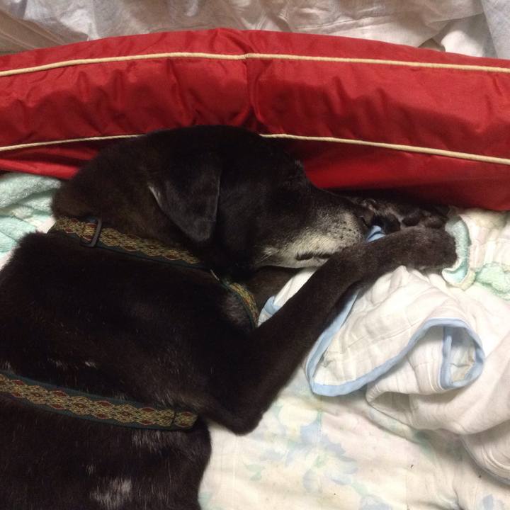 773971d9 c737 47a9 97fc af165c46689b