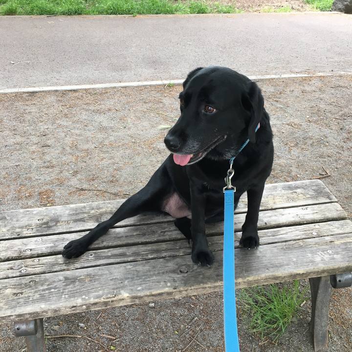 773a24e7 2da0 4f70 aa78 9cf7b1d576c1