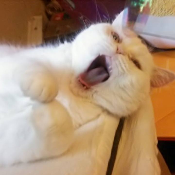 773a415d f495 4376 80c3 a620ee0f4c41